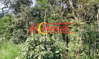 Imagem 3: Terreno com 5860 m² à Venda - Chácara das Lavras - Capelinha - Guarulhos