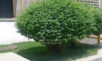 Imagem 2: Apartamento 1 quarto para locação em Campinas - Jardim Proença