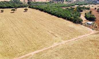 Imagem 2: 2 alqueires 50 km de Goiânia 40% formado 60% mata nativa