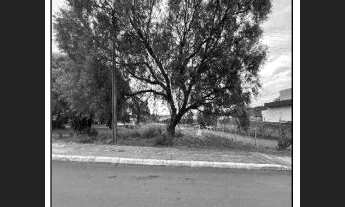 Imagem: Oportunidade Única em CARAZINHO - RS