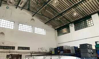 Imagem 5: GALPÃO - LAPA - SP