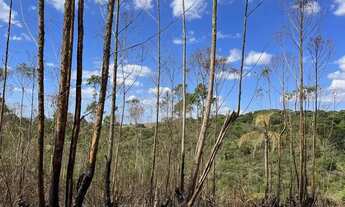 Imagem: Vendo terreno em Ibiúna por apenas R$25mil