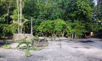 Imagem 6: Sítio/Terreno com 10,6 hectares à venda em Murinim, Benevides, Pará