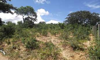 Imagem 2: Áreas 1.000 metros a 69km de Bh entrada R$8 Mil * WhatsApp