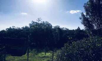 Imagem 4: Sítio com casa!!