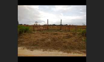 Imagem 5: Vendo 4 lotes em Rorainopolis