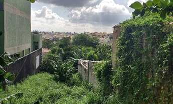 Imagem 3: Terreno à venda, 256 m² por R$ 800.000,00 - Chácara Inglesa - São Paulo/SP