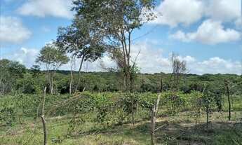 Imagem: Lotes em Monte Gordo (Chácaras Guarajuba)