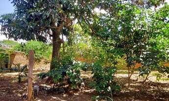 Imagem 7: Casa à venda. jardim veneza, aparecida de goiânia