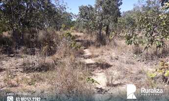 Imagem 2: Fazenda com dupla aptidão em Almas - TO