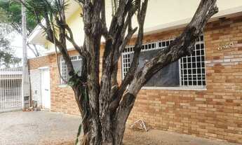 Imagem 4: Casa para aluguel ou venda - Castelo - Valinhos - SP