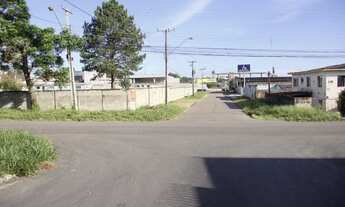 Imagem 6: Terreno em Pinhais