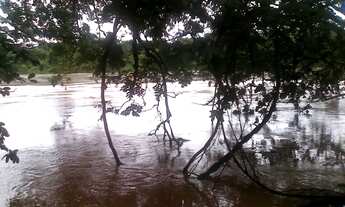 Imagem 4: Fazenda em buritizeiro 5.386 hectares 70.000.000.00 ( ney
