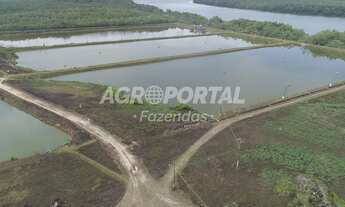 Imagem 4: Fazenda no Pará - Curuçá - 54 ha (11 alq