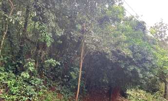 Imagem: Nova Lima - Loteamento/Condomínio - Bosque