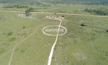 Imagem 2: Fazenda no Pará - Viseu - 6648 ha (1373 alq