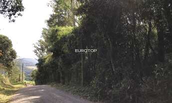 Imagem 3: Linda área nos Caminhos de Pedra!