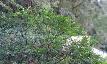 Imagem 6: Apto locação 65 m2, com 2 quartos, sacada mobiliado, próx. USP em Butantã - São Paulo