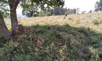 Imagem 2: Terreno em Piracema com 30.000 m²