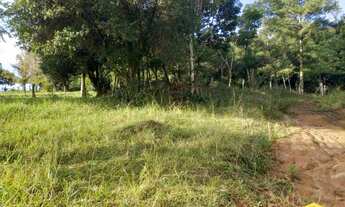 Imagem 2: Fazenda/Sítio/Chácara para venda possui 24000 metros quadrados em Lomba Grande - Novo Hamb