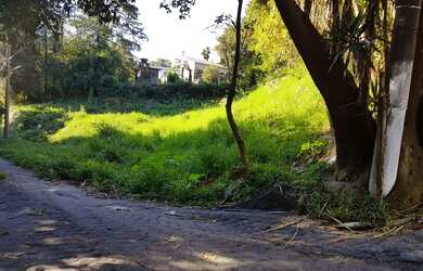 Imagem 2: Terrenos - Jaraguá