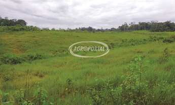 Imagem 6: Fazenda no Pará - Acará - 42 ha (8 alq