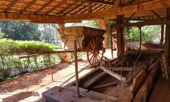 Imagem 7: Fazenda em mococa 100 alqueires 12.000.000.00 ( don