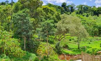 Imagem 5: Fazendinhas Planas Terra de Plantio e Pagamento Facilitado em Antônio dos Santos