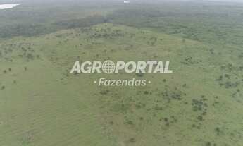 Imagem 2: Fazenda no Pará - São Domingos do Capim - 250 ha (51 alq