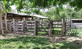Imagem 7: Chácara/Sítio/Fazenda próxima ao município Aguaçu, 48 Hectares, 40% Formada pasto, 75%Plan