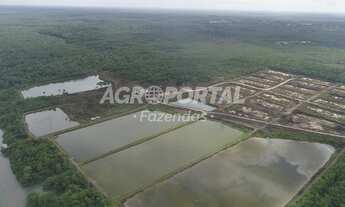 Imagem: Fazenda no Pará - Curuçá - 54 ha (11