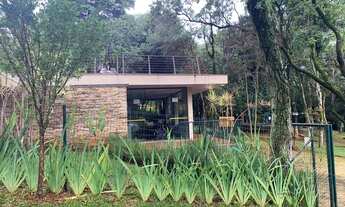 Imagem 7: Nova Lima - Loteamento/Condomínio - Bosque Da Ribeira