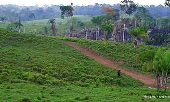 Imagem 11: Vendo ou troco uma Terra em Feijó