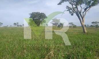 Imagem: Fazenda 80 Alqueires dupla aptidão lavoura/pecuária