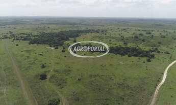 Imagem 7: Fazenda no Pará - Viseu - 6648 ha (1373 alq