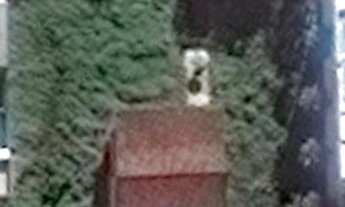 Imagem 3: Casa para aluguel tem 632 metros quadrados com 3 quartos em Barra da Tijuca - Rio de Janei