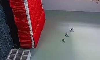 Imagem 4: Alugo Casa com 3 quartos