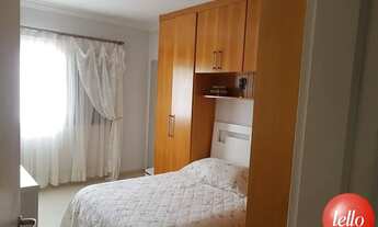 Imagem 6: São Paulo - Casa Padrão - Ipiranga