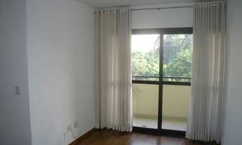 Imagem: Apartamento para aluguel possui 60 metros