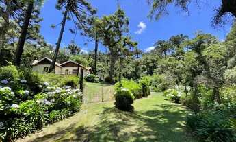 Imagem 2: EXCELENTE OPORTUNIDADE!