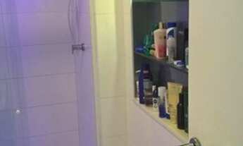 Imagem 4: Bougainville- Jabotiana