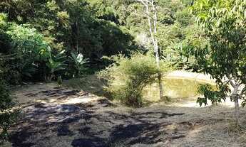 Imagem 7: Terreno de Chácara com Nascente e Lago