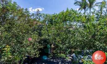 Imagem 3: São Paulo - Casa Padrão - Butantã