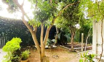 Imagem 6: SÃO PAULO - Apartamento Padrão - SAÚDE