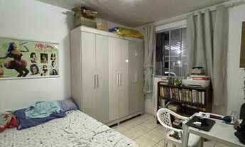 Imagem: Alameda da Jabotiana oportunidade