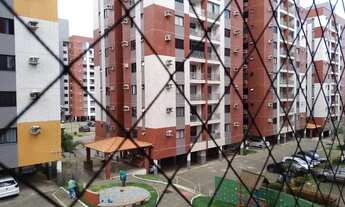 Imagem: Alugo Gran Park pássaros