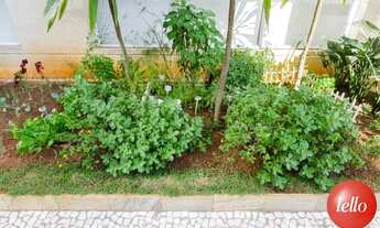 Imagem 3: Santo André - Apartamento Padrão - Vila Gilda