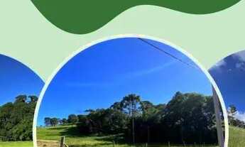 Imagem: TB- Vendo Terreno com ruas abertas