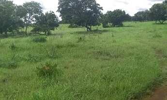 Imagem 4: . Uma fazenda 110 alqueires 50 Km da capital