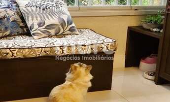 Imagem 7: SAO PAULO - Apartamento Padrão - CAMBUCI